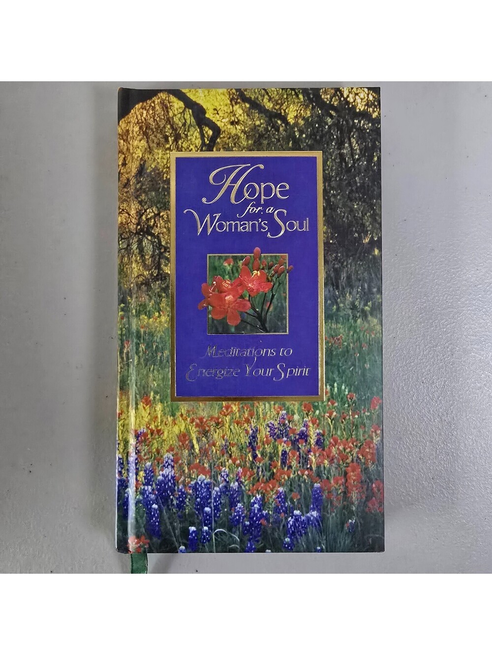 Hope for a Woman's Soul: Meditations to Energize Your Spirit